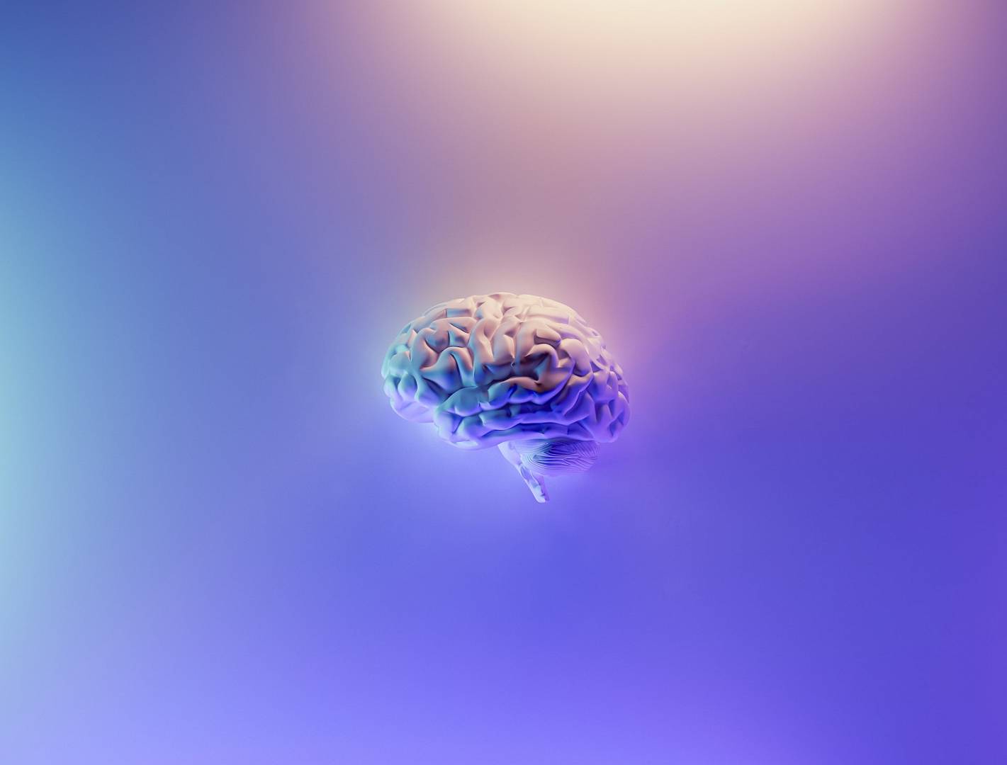 Lewa i prawa półkula mózgu czyli kreatywność i logiczne myślenie w jednym